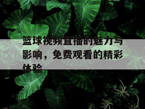 篮球视频直播的魅力与影响，免费观看的精彩体验