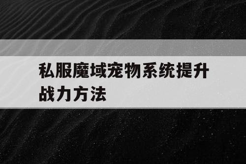私服魔域宠物系统提升战力方法