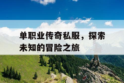 单职业传奇私服，探索未知的冒险之旅