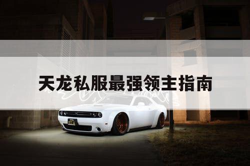 天龙私服最强领主指南