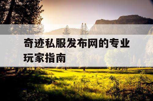 奇迹私服发布网的专业玩家指南