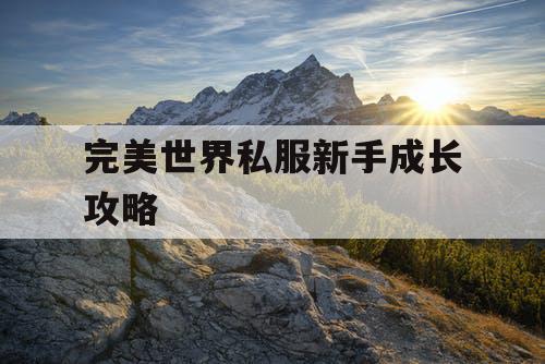 完美世界私服新手成长攻略