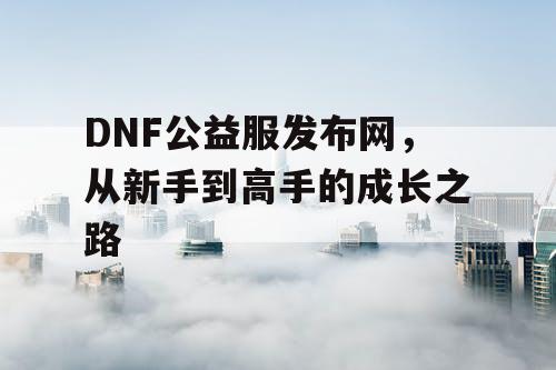 DNF公益服发布网，从新手到高手的成长之路