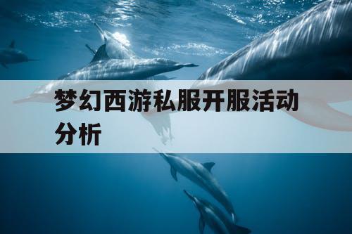 梦幻西游私服开服活动分析 梦幻西游私服开服活动分析