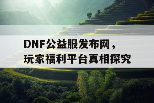 DNF公益服发布网,玩家福利平台真相探究 DNF公益服发布网,玩家福利平台真相探究