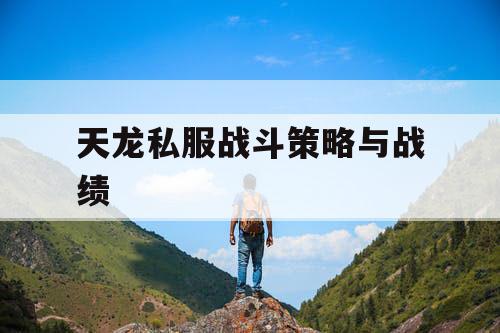 天龙私服战斗策略与战绩 天龙私服战斗策略与战绩