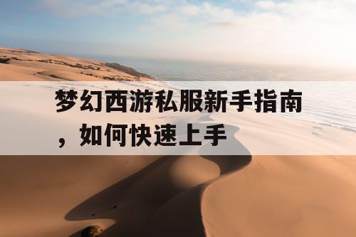 梦幻西游私服新手指南，如何快速上手