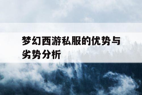 梦幻西游私服的优势与劣势分析