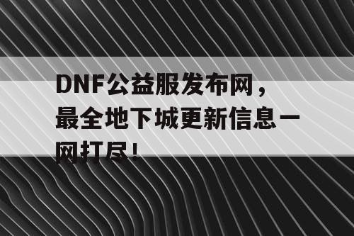 DNF公益服发布网，最全地下城更新信息一网打尽！
