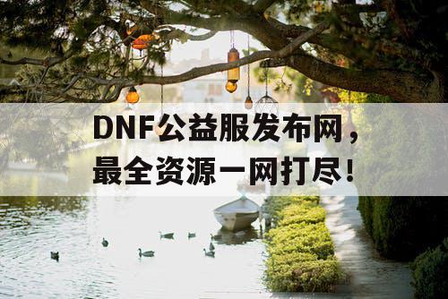 DNF公益服发布网，最全资源一网打尽！
