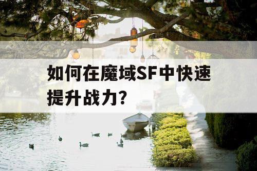 如何在魔域SF中快速提升战力? 如何在魔域SF中快速提升战力?