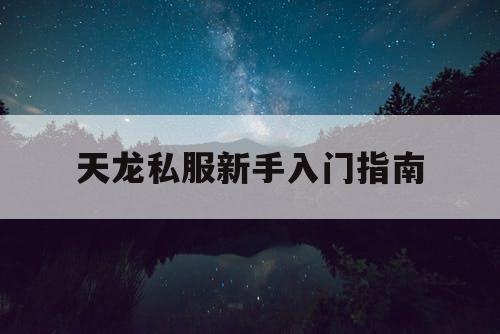 天龙私服新手入门指南