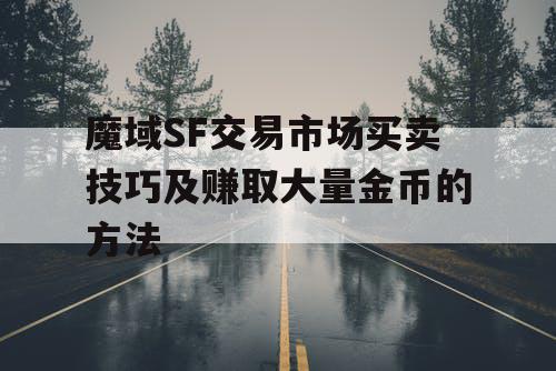 魔域SF交易市场买卖技巧及赚取大量金币的方法
