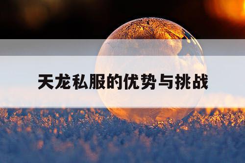 天龙私服的优势与挑战 天龙私服的优势与挑战