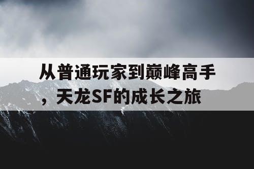 从普通玩家到巅峰高手,天龙SF的成长之旅 从普通玩家到巅峰高手,天龙SF的成长之旅