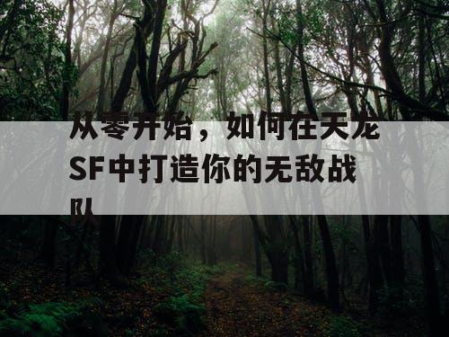从零开始，如何在天龙SF中打造你的无敌战队