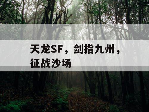 天龙SF，剑指九州，征战沙场
