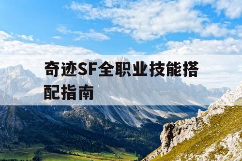 奇迹SF全职业技能搭配指南