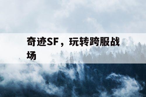 奇迹SF，玩转跨服战场