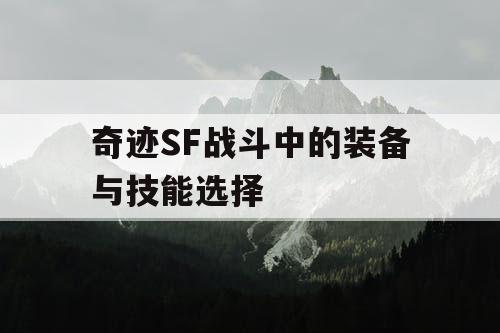 奇迹SF战斗中的装备与技能选择