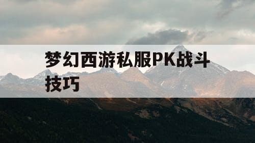 梦幻西游私服PK战斗技巧