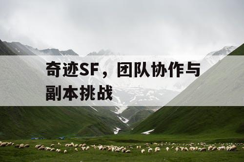 奇迹SF，团队协作与副本挑战