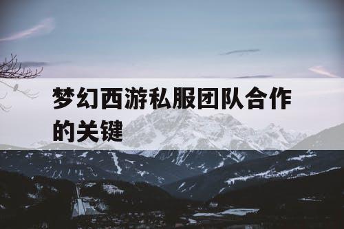 梦幻西游私服团队合作的关键