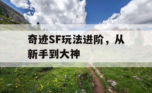 奇迹SF玩法进阶，从新手到大神