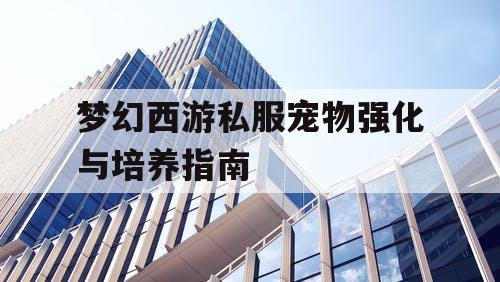 梦幻西游私服宠物强化与培养指南 梦幻西游私服宠物强化与培养指南