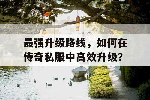 最强升级路线,如何在传奇私服中高效升级? 最强升级路线,如何在传奇私服中高效升级?