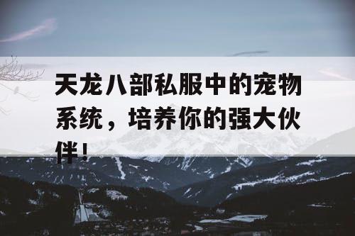 天龙八部私服中的宠物系统,培养你的强大伙伴! 天龙八部私服中的宠物系统,培养你的强大伙伴!
