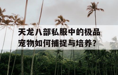 天龙八部私服中的极品宠物如何捕捉与培养? 天龙八部私服中的极品宠物如何捕捉与培养?