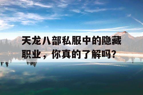 天龙八部私服中的隐藏职业，你真的了解吗？