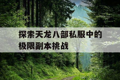 探索天龙八部私服中的极限副本挑战