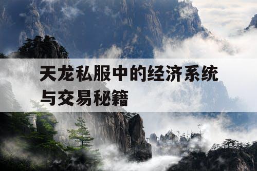 天龙私服中的经济系统与交易秘籍