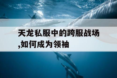 天龙私服中的跨服战场,如何成为领袖 天龙私服中的跨服战场,如何成为领袖