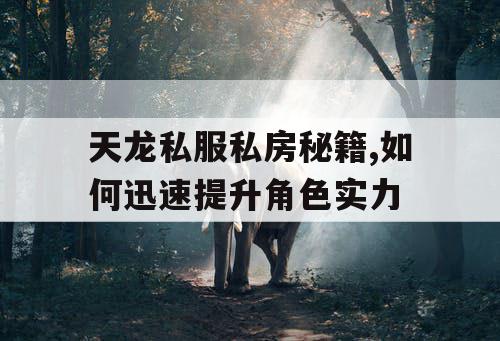 天龙私服私房秘籍,如何迅速提升角色实力 天龙私服私房秘籍,如何迅速提升角色实力