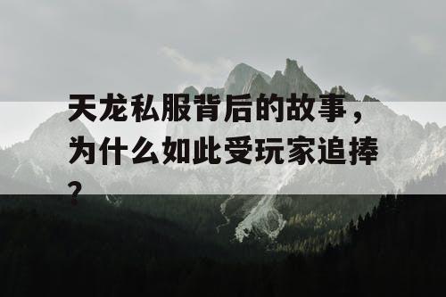 天龙私服背后的故事，为什么如此受玩家追捧？