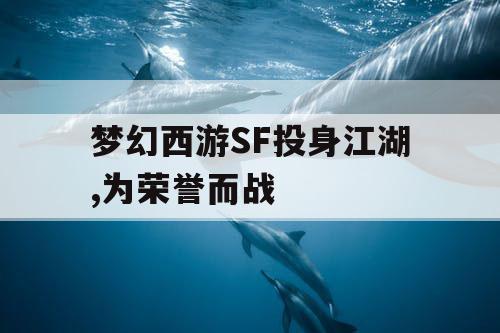 梦幻西游SF投身江湖,为荣誉而战
