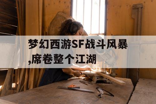 梦幻西游SF战斗风暴,席卷整个江湖