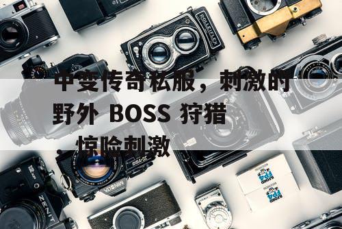 中变传奇私服，刺激的野外 BOSS 狩猎，惊险刺激