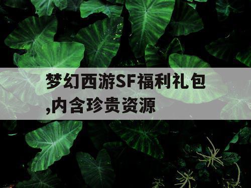 梦幻西游SF福利礼包,内含珍贵资源