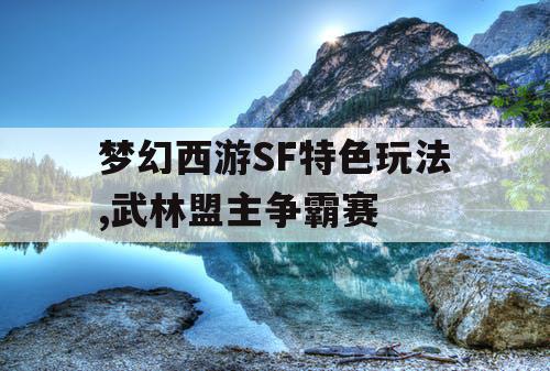 梦幻西游SF特色玩法,武林盟主争霸赛 梦幻西游SF特色玩法,武林盟主争霸赛