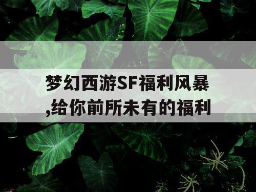 梦幻西游SF福利风暴,给你前所未有的福利 梦幻西游SF福利风暴,给你前所未有的福利