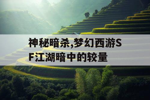 神秘暗杀,梦幻西游SF江湖暗中的较量 神秘暗杀,梦幻西游SF江湖暗中的较量