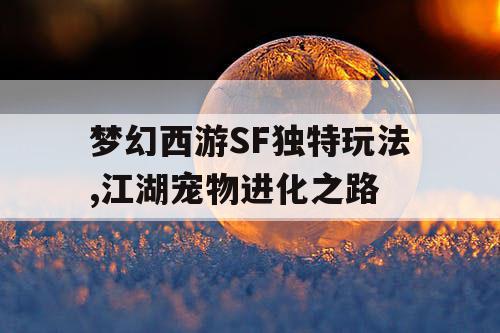 梦幻西游SF独特玩法,江湖宠物进化之路 梦幻西游SF独特玩法,江湖宠物进化之路