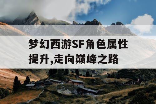 梦幻西游SF角色属性提升,走向巅峰之路 梦幻西游SF角色属性提升,走向巅峰之路