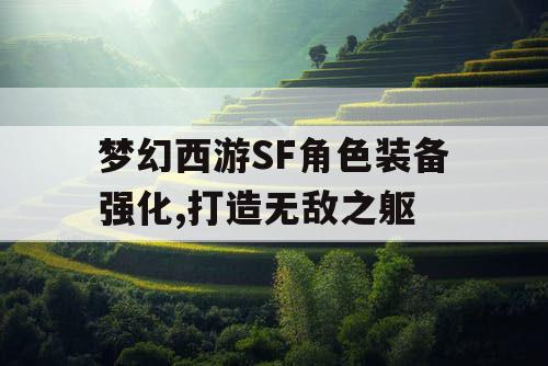 梦幻西游SF角色装备强化,打造无敌之躯