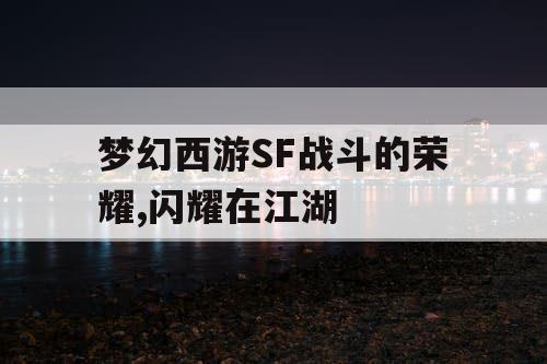 梦幻西游SF战斗的荣耀,闪耀在江湖