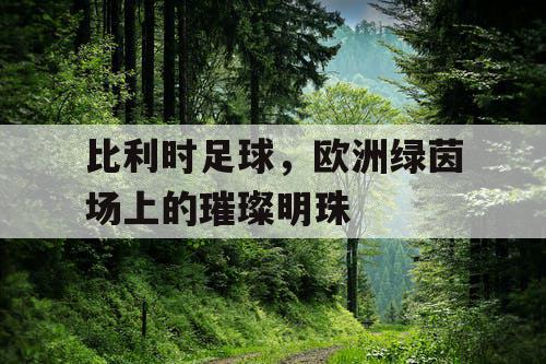 比利时足球，欧洲绿茵场上的璀璨明珠